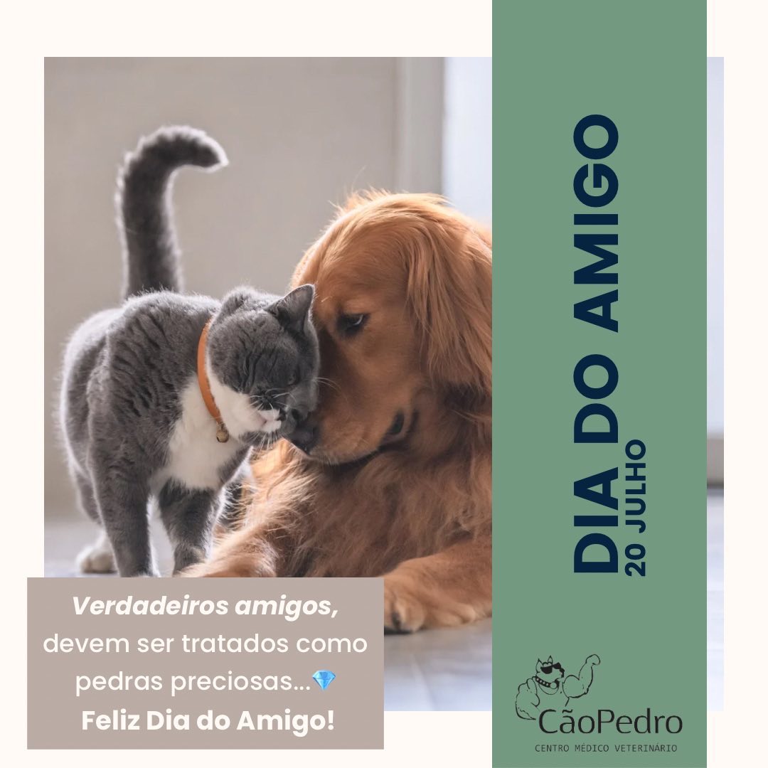 Imagem da galeria CãoPedro