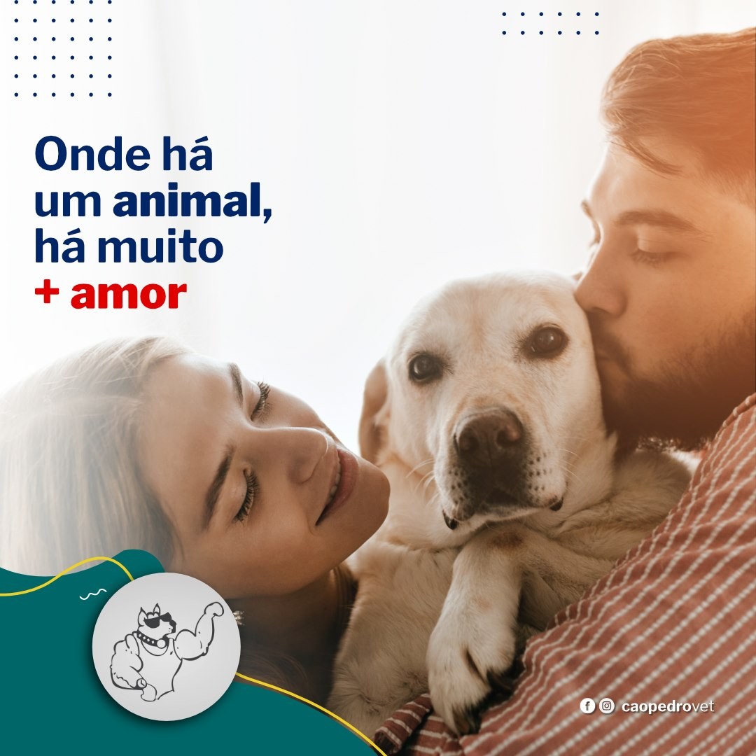 Imagem da galeria CãoPedro