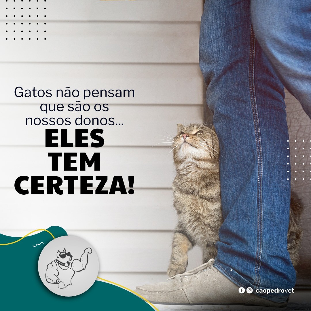 Imagem da galeria CãoPedro